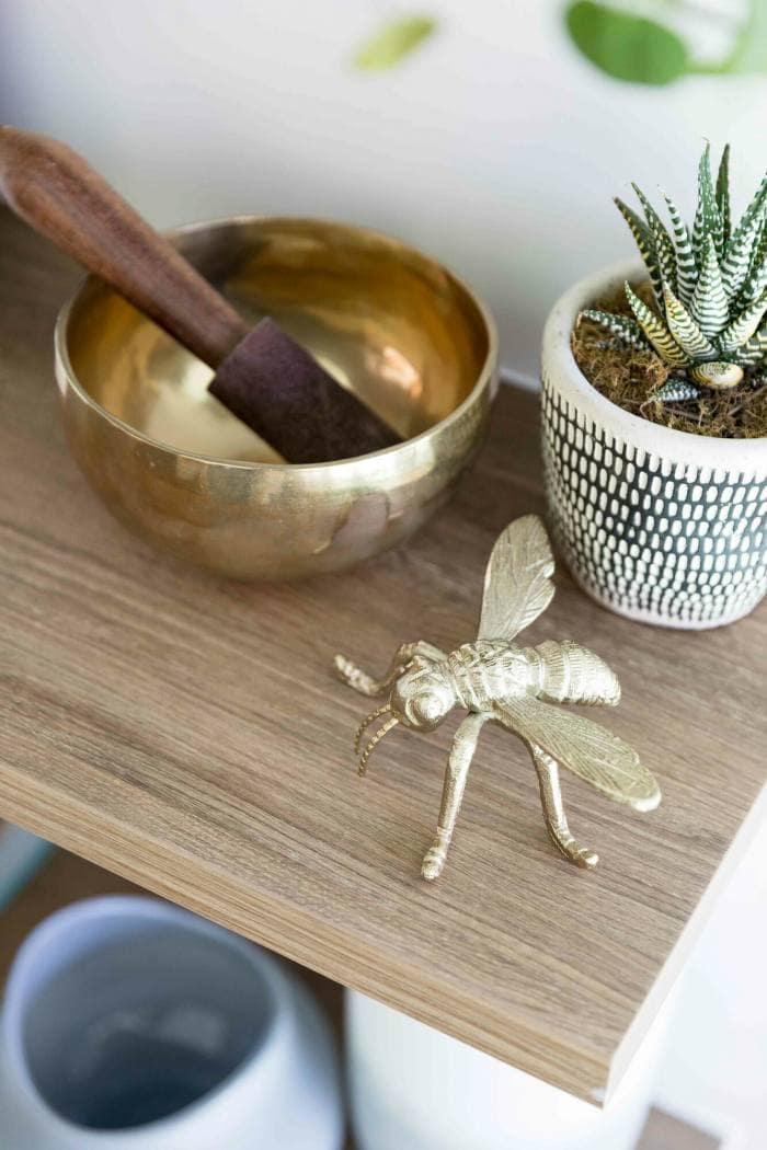 Bee, brass singing bowl and succulent detail on wooden shelf